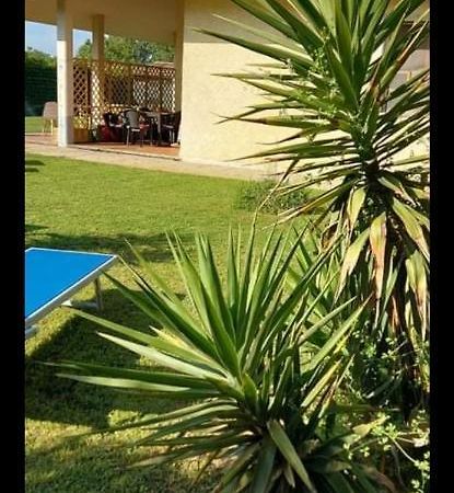 Green Garden Viareggio Zewnętrze zdjęcie