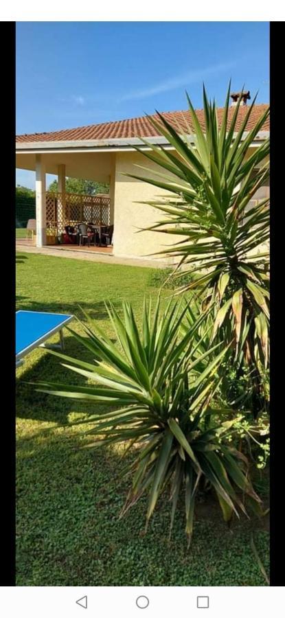 Green Garden Viareggio Zewnętrze zdjęcie